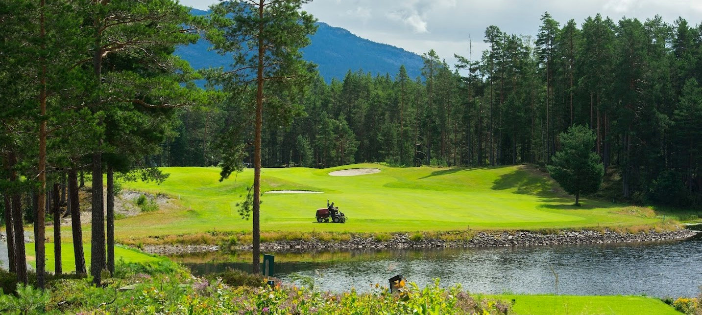 Golf course between forest and lake